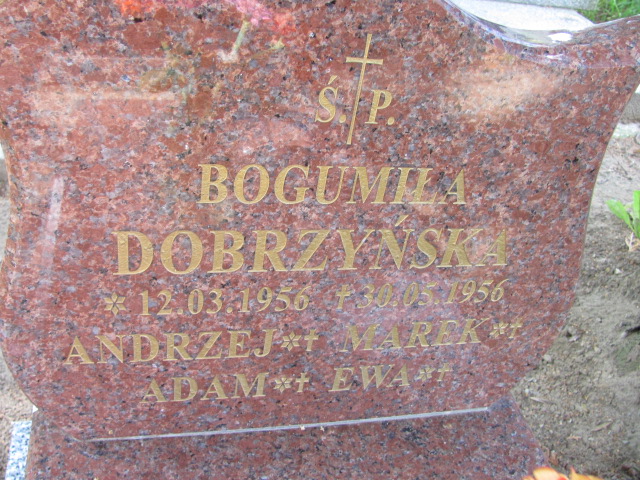 Marek Dobrzyński 1956 Susz - Grobonet - Wyszukiwarka osób pochowanych