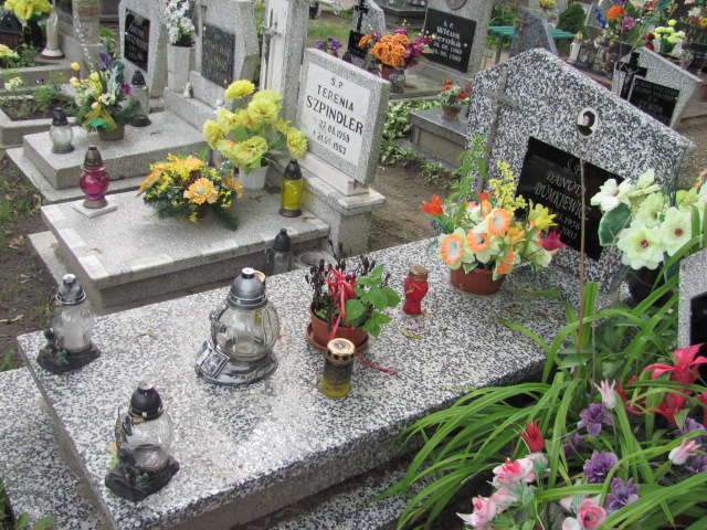 Grób Danuta Dumkiewicz