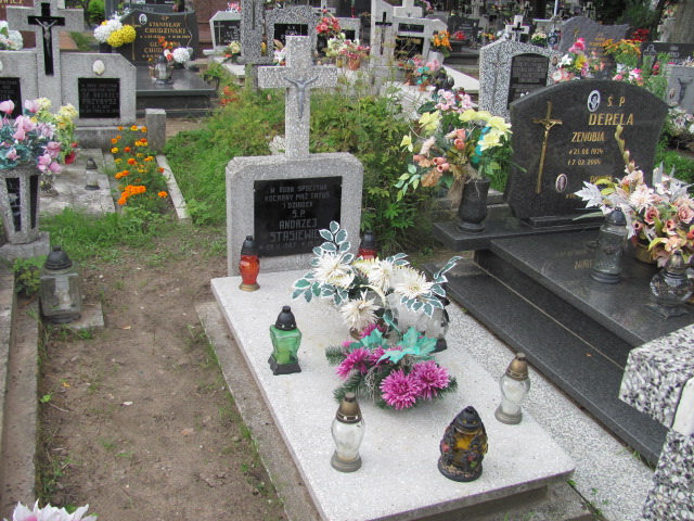Grób Andrzej Stasiewicz